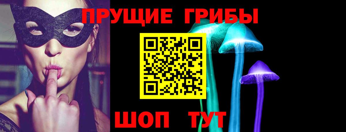 Галлюциногенные грибы Psilocybine cubensis Протвино
